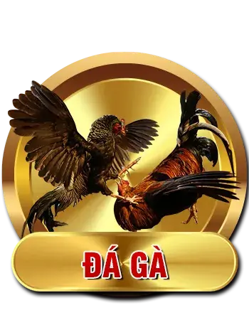 SHBET 🎖️ Trang Chủ SHBET Đăng Ký | Đăng Nhập Chính Thức 2026 7 cock